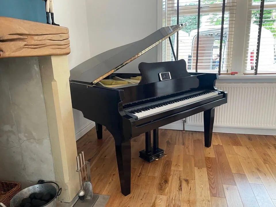 Self Playing Effect Black Baby Grand Piano