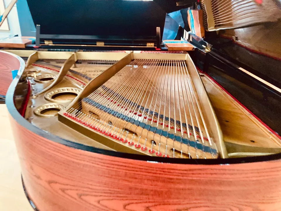 Stunning Refurbished Bechstein Grand Piano.