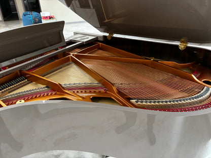 Velouré No.1 Aurelius Self Playing Grand Piano