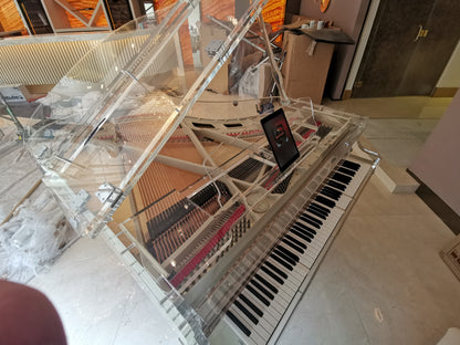 The Self Playing Transparent Grand Piano
