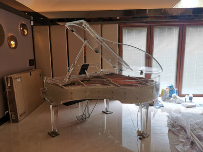 The Self Playing Transparent Grand Piano