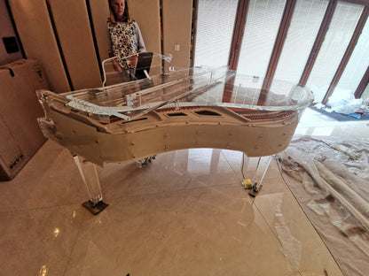The Self Playing Transparent Grand Piano