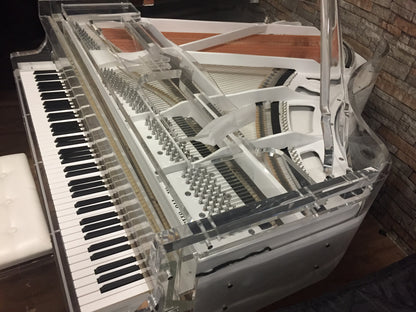 The Self Playing Transparent Grand Piano