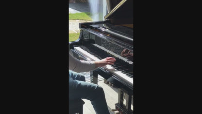 Brand New High Gloss Acoustic Self Playing Baby Grand Piano
