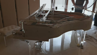 PAY MONTHLY NO INTEREST -Luxury Transparent Self-Playing Baby Grand Piano | Full Self Playing System | Delivery Included