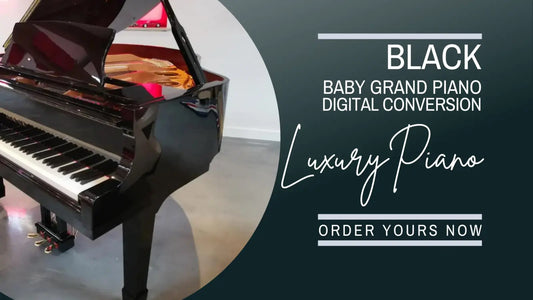 Black Baby Grand Piano Digital Conversion