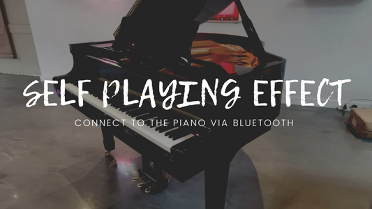 Self Playing Effect Black Baby Grand Piano